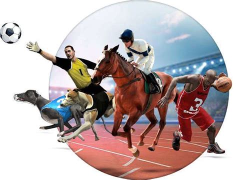 The Evolution of Virtual Sports Games: How it has .